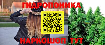 2c-b Шелехов