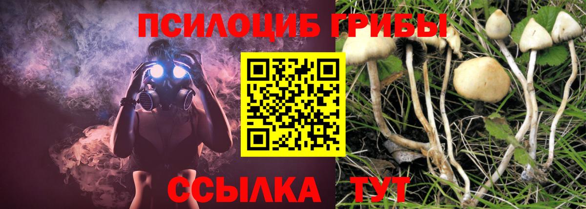 Псилоцибиновые грибы Psilocybe  Вход с VPN  Мелеуз 