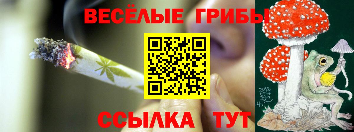 Галлюциногенные грибы Cubensis Мелеуз